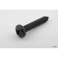Securpak Round Head Black Screws 4x25mm 12 Pack